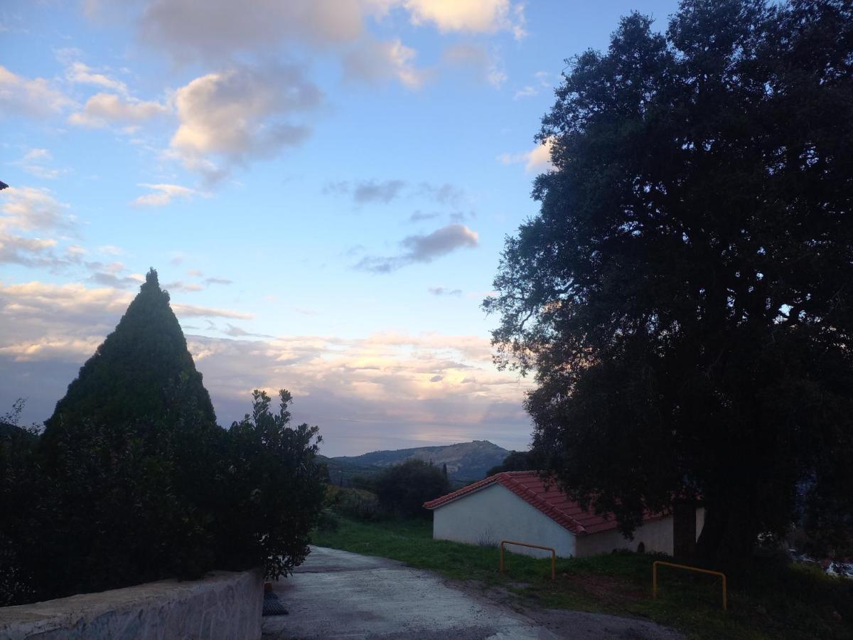 Apartament Konstantina